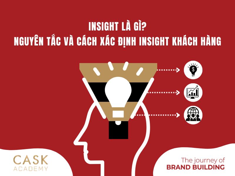 Insight là gì? Nguyên tắc và cách xác định Insight khách hàng
