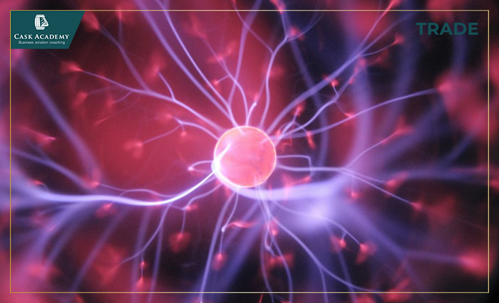 Shopper Marketing-Nghệ thuật nắm bắt tâm trí, trái tim và ví tiền của người mua hàng – Kỳ 1